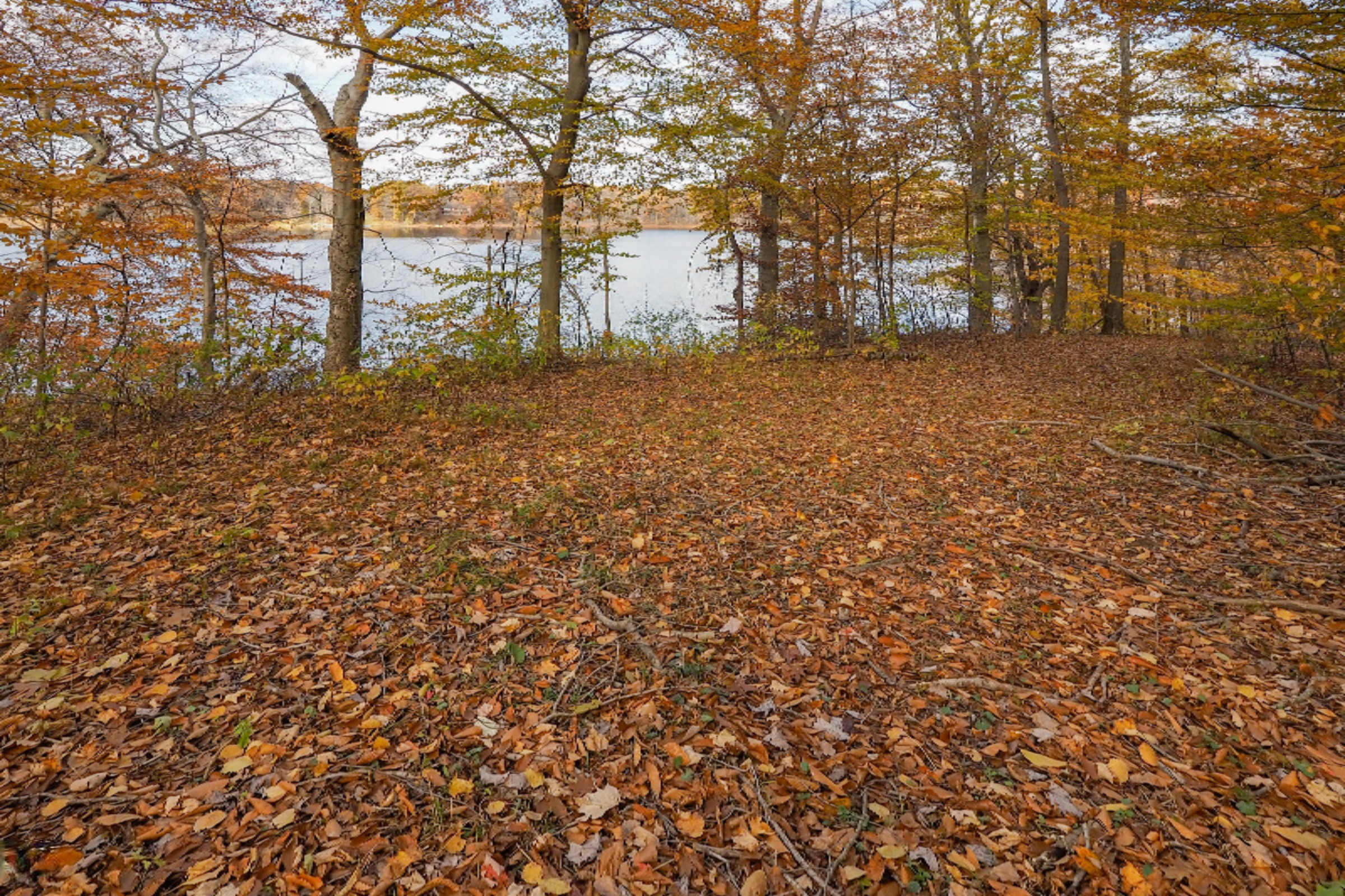 4250 Cloverdale Road Delton, MI 49046 - Photo 75 of 78 4250 Cloverdale Rd-142