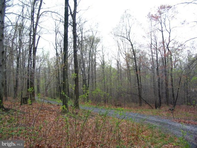 Locust Grove Road Rohrersville, MD 21779 - Photo 1 of 3 Exterior (Main)