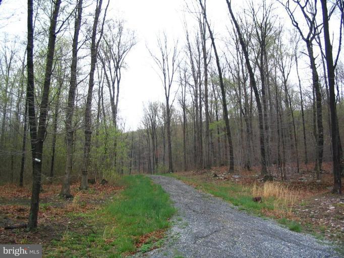 Locust Grove Road Rohrersville, MD 21779 - Photo 2 of 3 Exterior #2