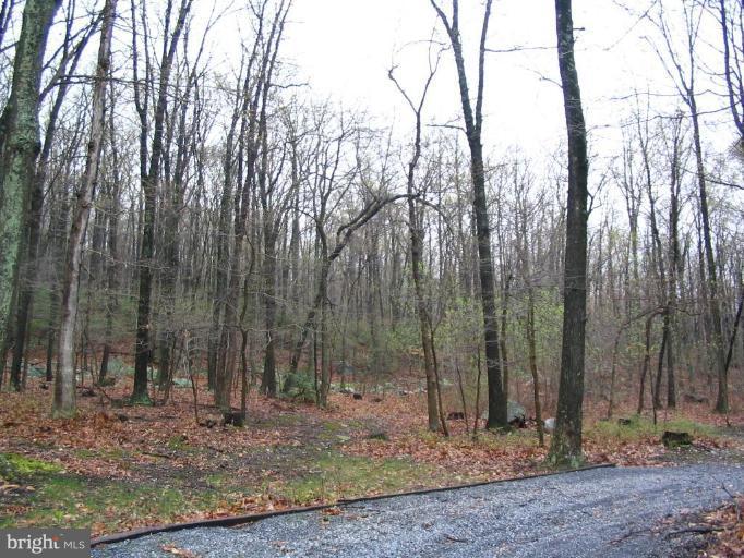 Locust Grove Road Rohrersville, MD 21779 - Photo 3 of 3 Unique #1