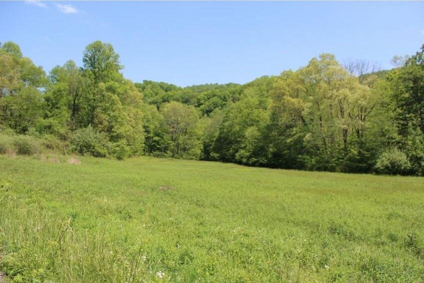 0 Mabe Stanleytown Road Duffield, VA 24244 - Photo 1 of 22 1