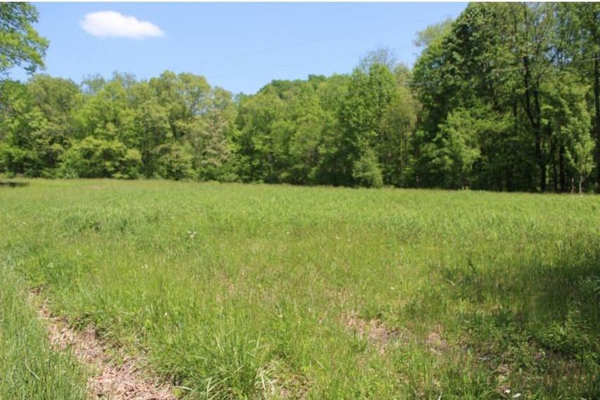0 Mabe Stanleytown Road Duffield, VA 24244 - Photo 3 of 22 3