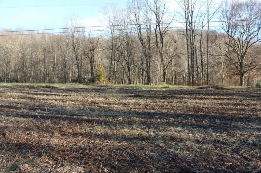0 Mabe Stanleytown Road Duffield, VA 24244 - Photo 22 of 22 22
