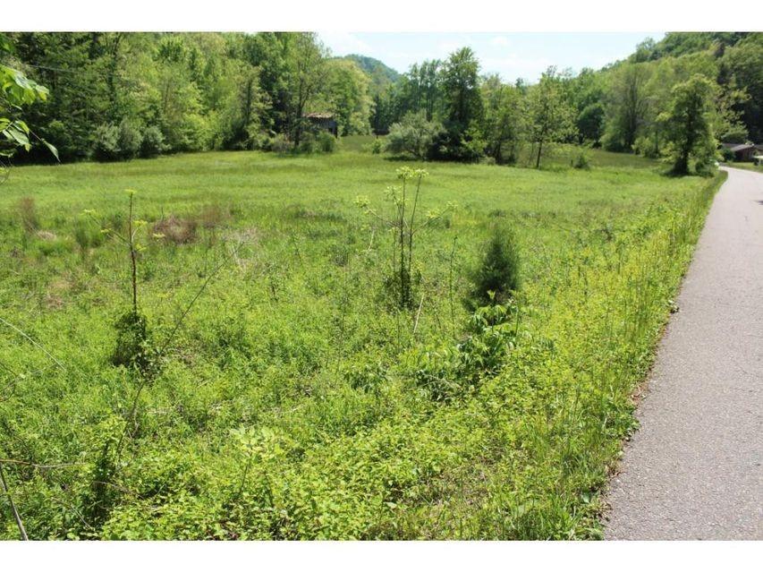 0 Mabe Stanleytown Road Duffield, VA 24244 - Photo 7 of 22 7