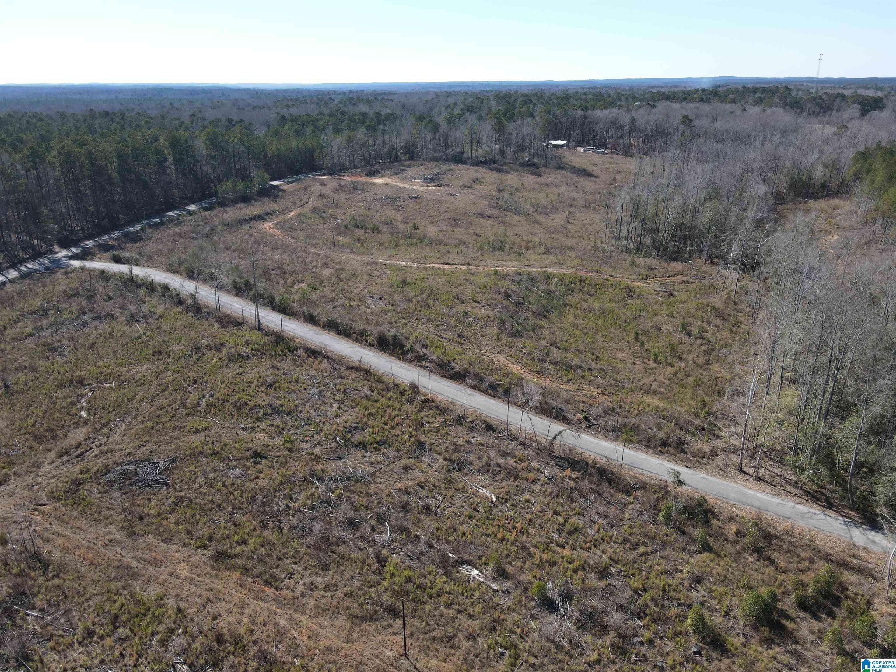 2 County Road 36, Unit 2 Randolph, AL 36792 - Photo 2 of 6