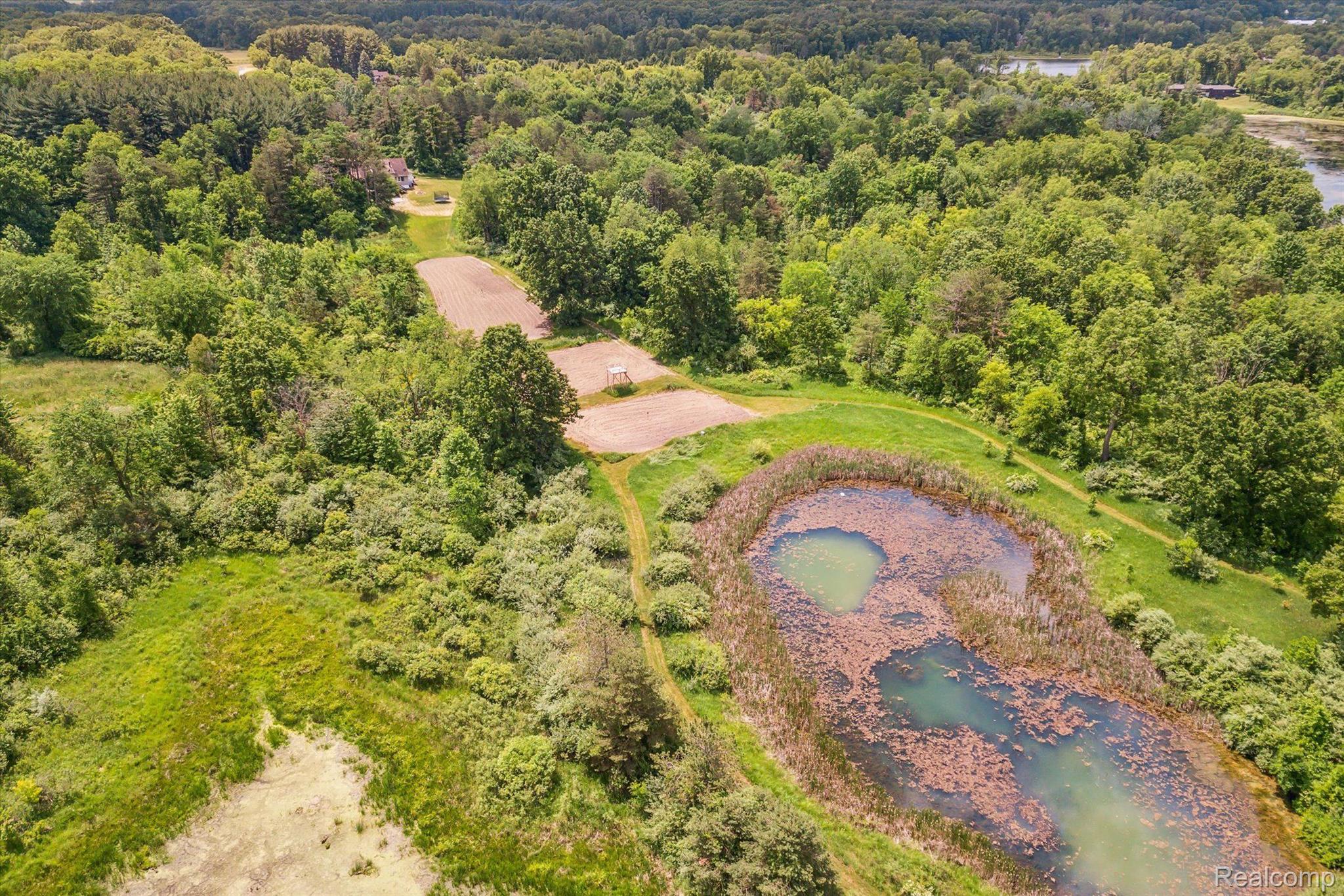 5809 East Allen Road Howell, MI 48855 - Photo 55 of 62 pond