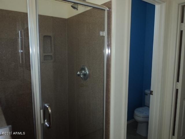 2417 West Beverly Rd. Phoenix, AZ 85041 - Photo 17 of 26 Shower Master