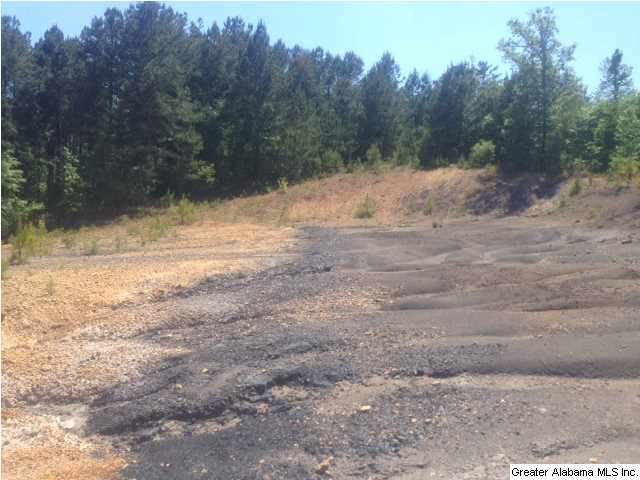 0 Blackjack Road, Unit 11 Trussville, AL 35173 - Photo 3 of 4