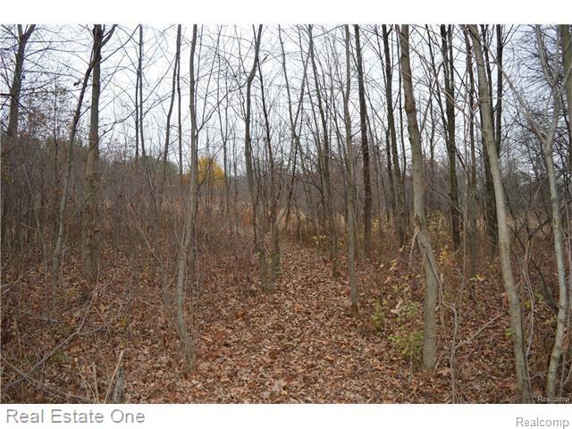 Par B Musson Road Howell, MI 48855 - Photo 11 of 28