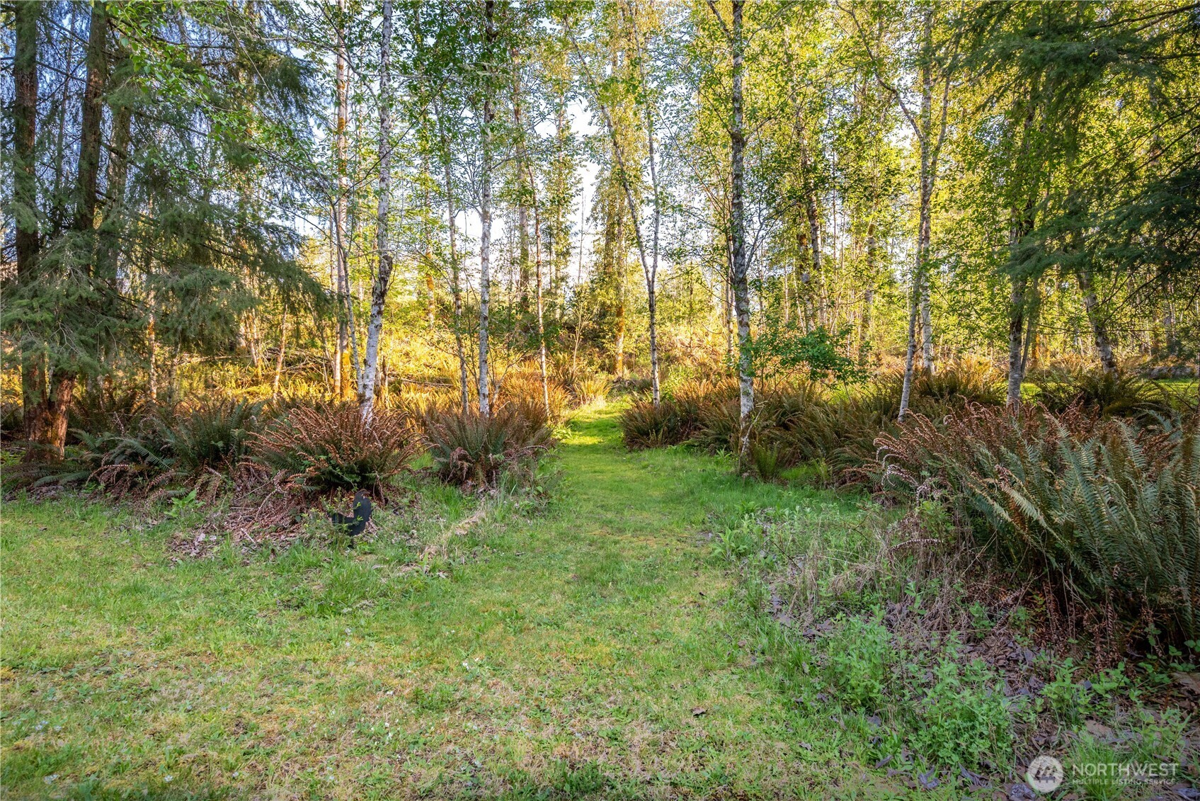 460 Cornell Road Toutle, WA 98649 - Photo 7 of 35