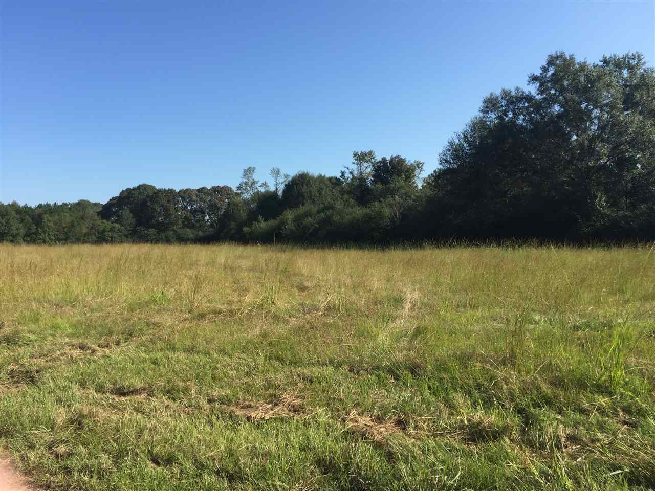 0 Siloam Church Road Magee, MS 39111 - Photo 1 of 1 Photo 1
