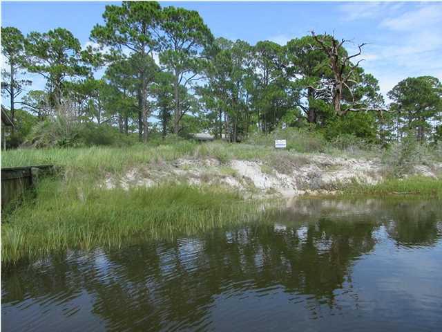 113 Anglers Road Carrabelle, FL 32322 - Photo 8 of 16