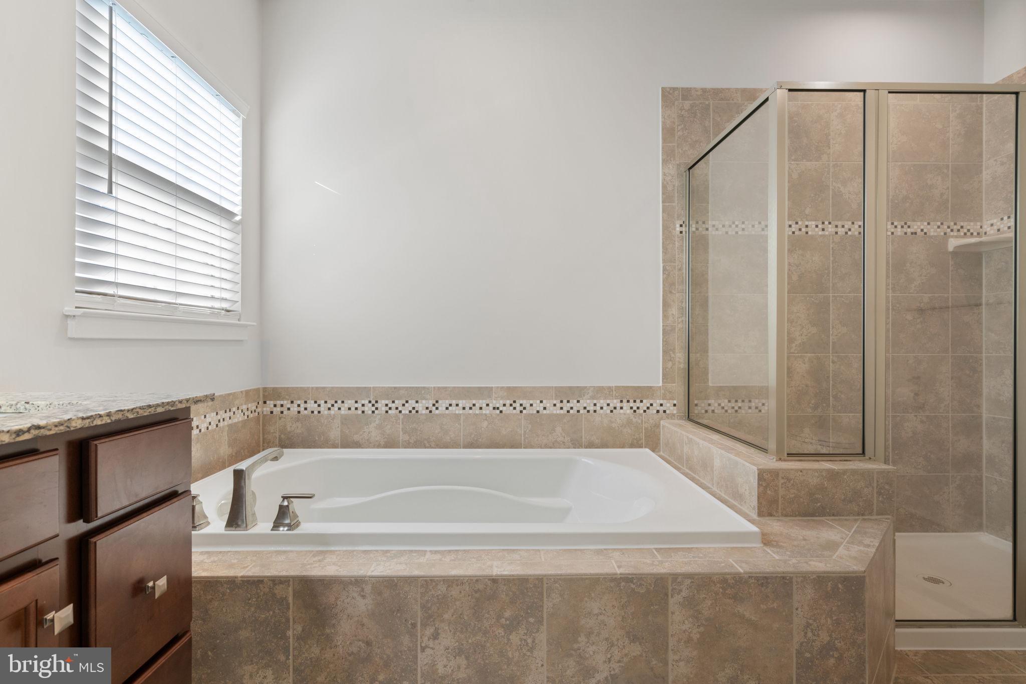 18037 Red Mulberry Road Dumfries, VA 22026 - Photo 40 of 74 Soaking tub