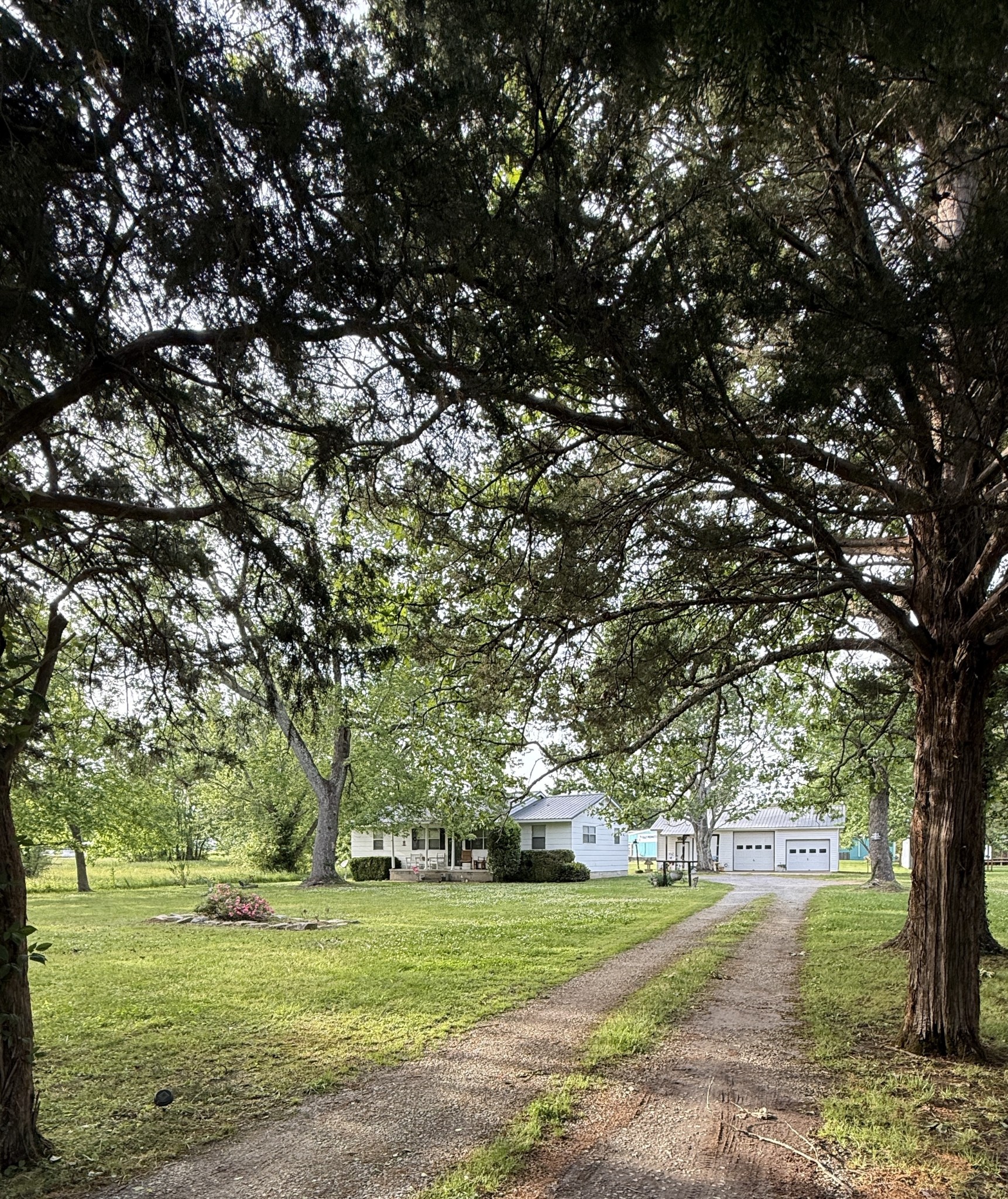 12 Elora Church Road Elora, TN 37328 - Photo 1 of 28