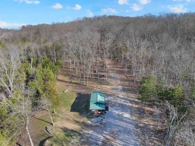 a view of a yard with plants