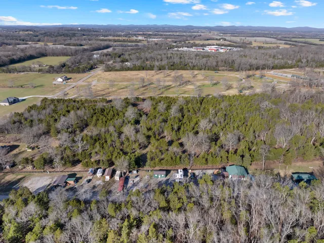 a view of a bunch of trees and bushes