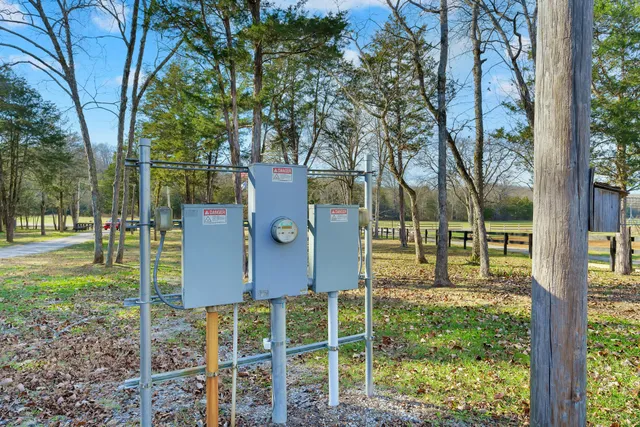 a park with bench and trees