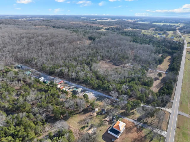 a view of a pathway with a forest