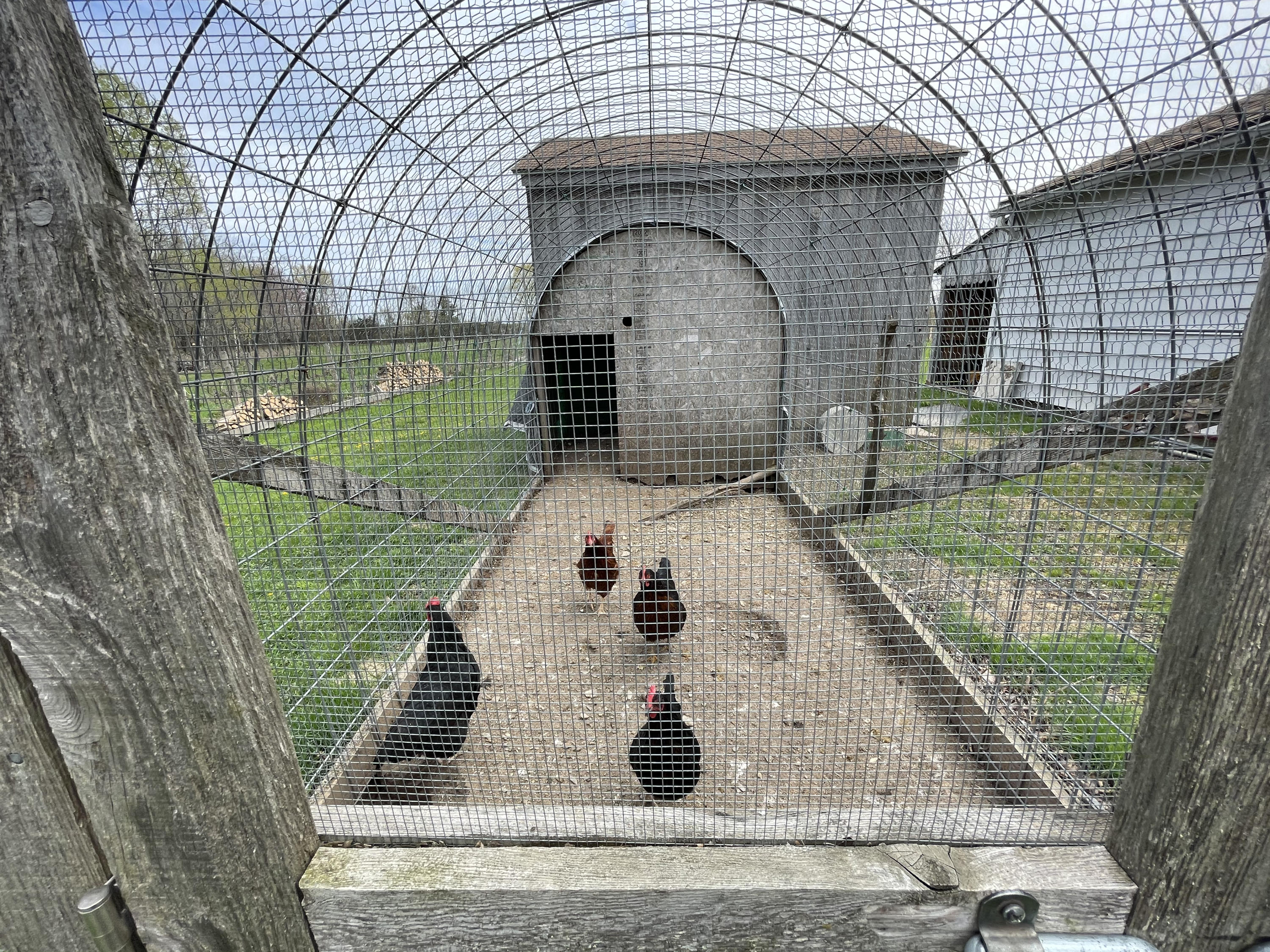 76 Blaisdell Road Stetson, ME 04488 - Photo 23 of 33 Chickens