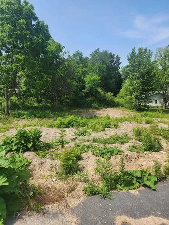 $43,000 | Tbd Cedar Green Road, Staunton, VA 24401