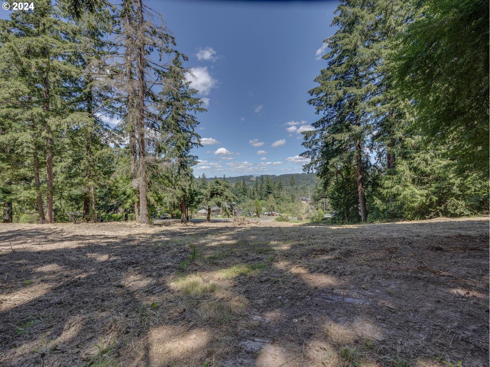 South Henrici Road Oregon City, OR 97045 - Photo 15 of 23 Gallery Image 15