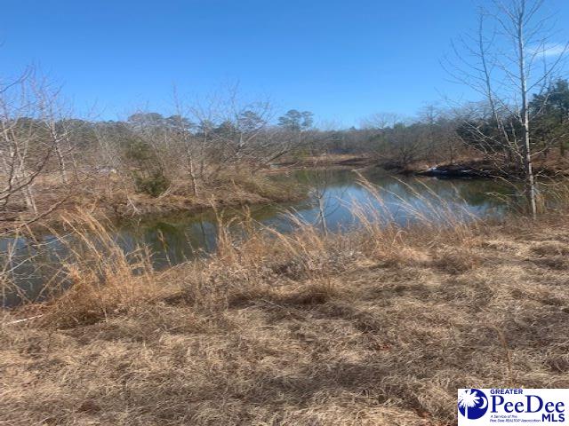6134 Berry Road Latta, SC 29565 - Photo 1 of 1 Gallery Image 1