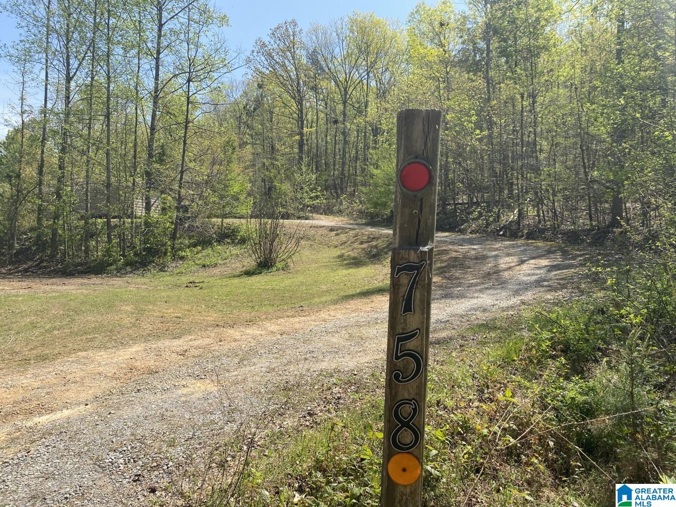 758 Moore Lane Springville, AL 35146 - Photo 3 of 21