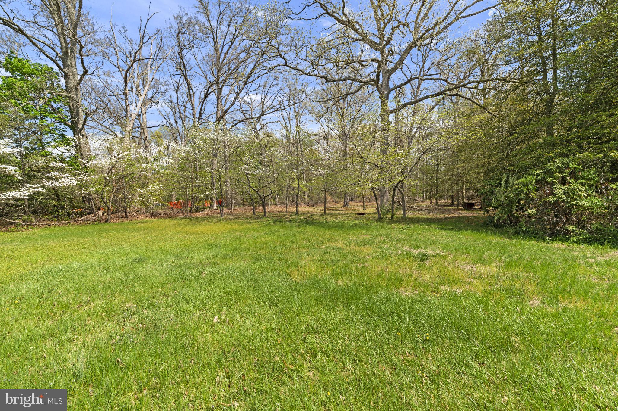 186 South Rte 73 Hammonton, NJ 08037 - Photo 38 of 38 a view of outdoor space with trees all around