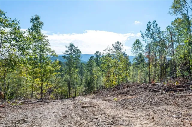 a view of a yard with plants and trees