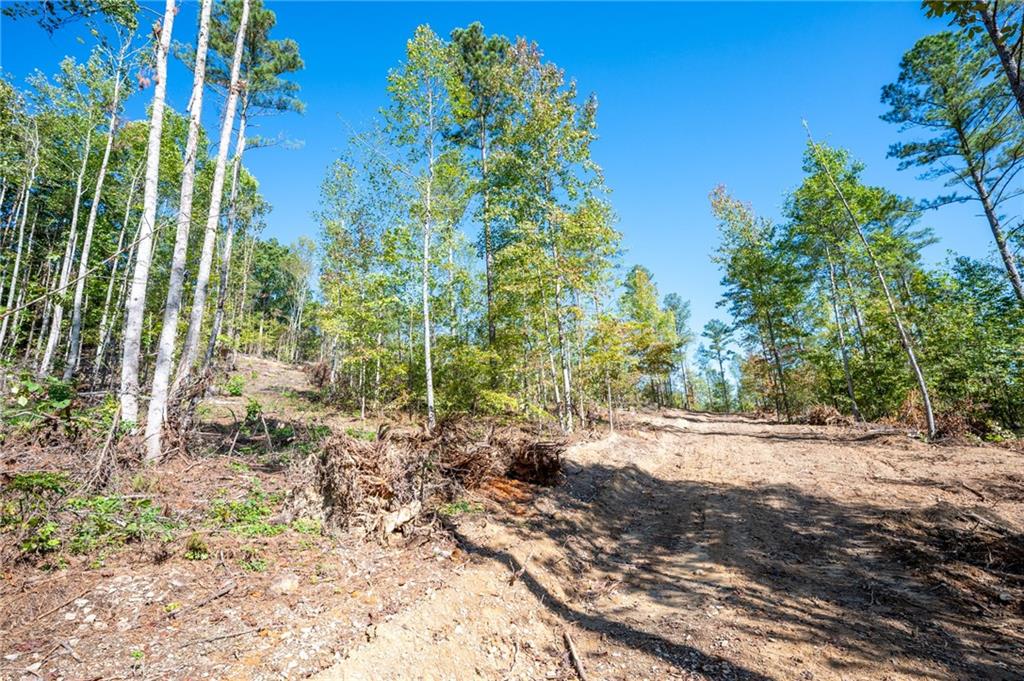 3793 Hwy 140 Ne Rydal Ga 30171 Northeast Rydal, GA 30171 - Photo 11 of 25 a view of a yard with plants and trees
