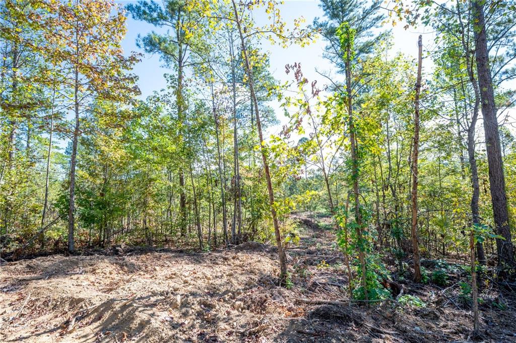 3793 Hwy 140 Ne Rydal Ga 30171 Northeast Rydal, GA 30171 - Photo 12 of 25 a view of a forest with trees