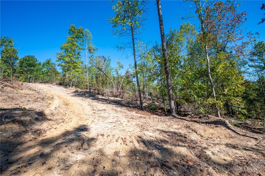 3793 Hwy 140 Ne Rydal Ga 30171 Northeast Rydal, GA 30171 - Photo 13 of 25 a view of a yard with plants and trees