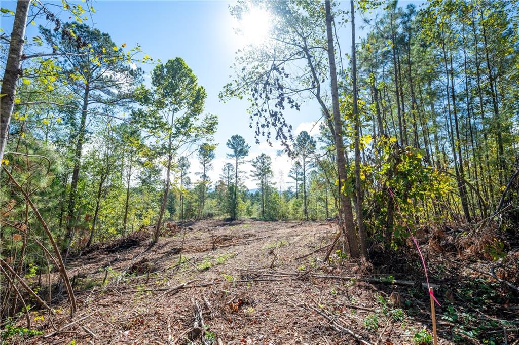 3793 Hwy 140 Ne Rydal Ga 30171 Northeast Rydal, GA 30171 - Photo 18 of 25 a view of backyard with green space
