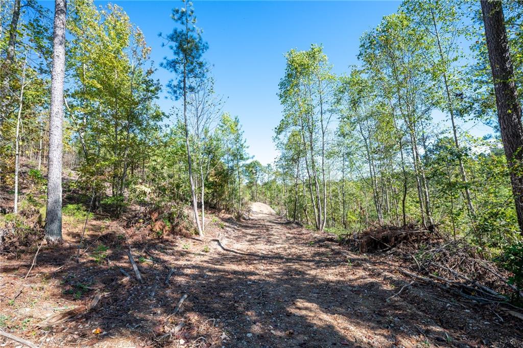 3793 Hwy 140 Ne Rydal Ga 30171 Northeast Rydal, GA 30171 - Photo 19 of 25 a view of a forest with trees