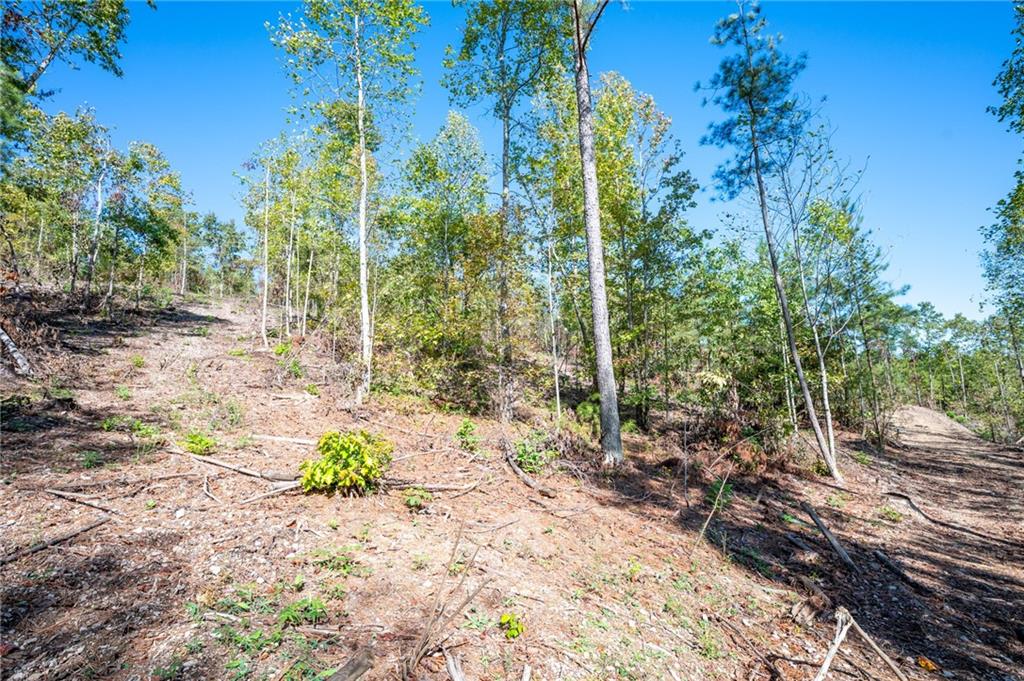 3793 Hwy 140 Ne Rydal Ga 30171 Northeast Rydal, GA 30171 - Photo 20 of 25 a pathway of a yard