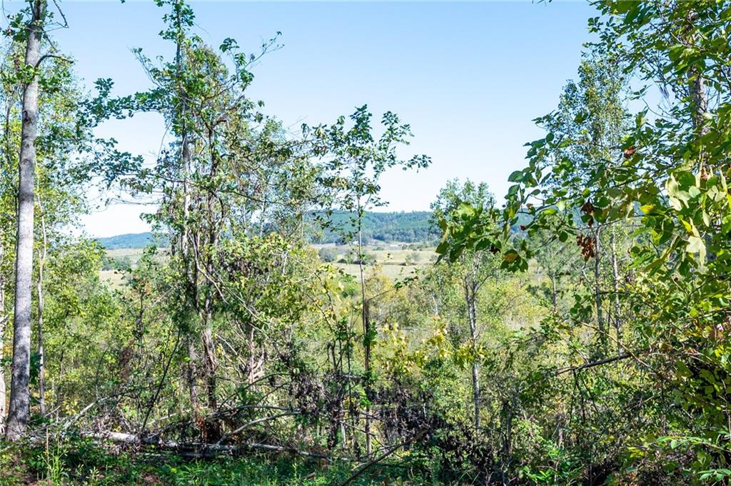 3793 Hwy 140 Ne Rydal Ga 30171 Northeast Rydal, GA 30171 - Photo 2 of 25 a view of a garden with plants