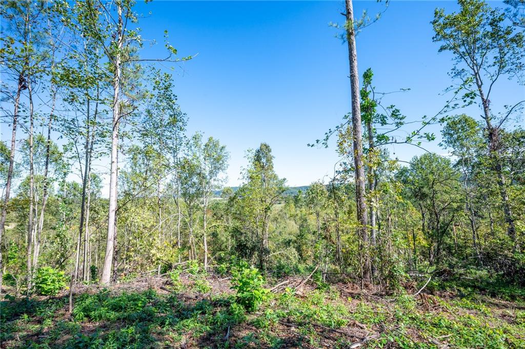 3793 Hwy 140 Ne Rydal Ga 30171 Northeast Rydal, GA 30171 - Photo 23 of 25 a view of a garden