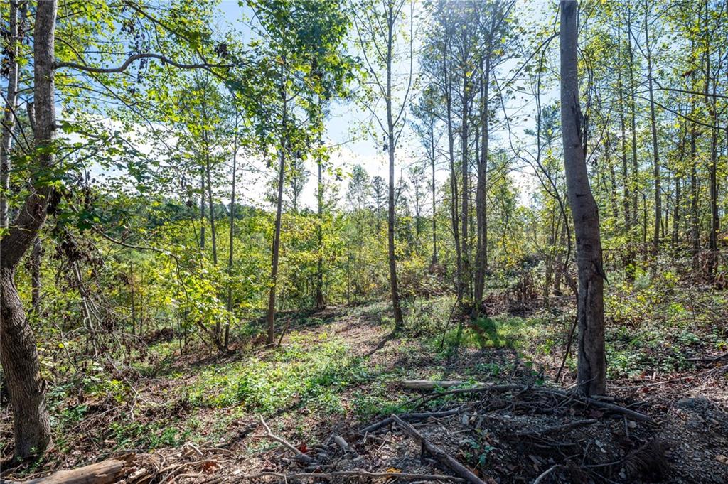 3793 Hwy 140 Ne Rydal Ga 30171 Northeast Rydal, GA 30171 - Photo 25 of 25 a view of forest
