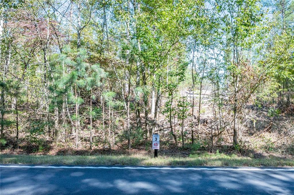 3793 Hwy 140 Ne Rydal Ga 30171 Northeast Rydal, GA 30171 - Photo 5 of 25 a view of a yard with plants and trees