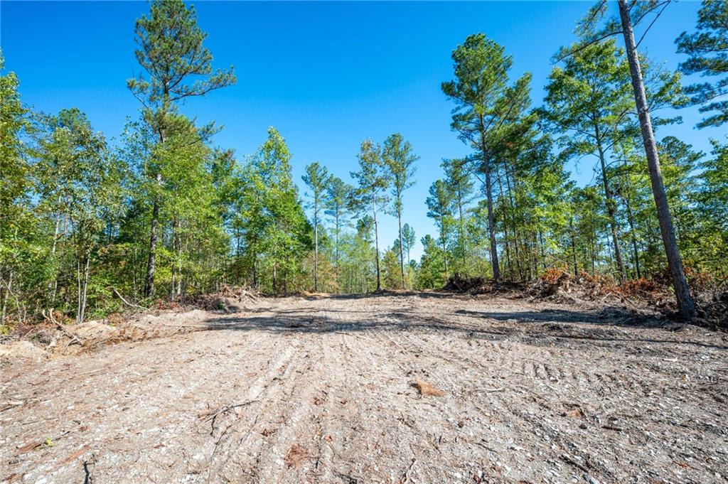 3793 Hwy 140 Ne Rydal Ga 30171 Northeast Rydal, GA 30171 - Photo 6 of 25 a backyard of a house with lots of green space