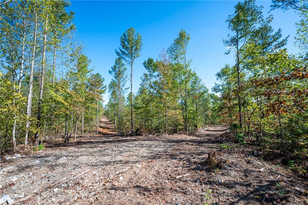 3793 Hwy 140 Ne Rydal Ga 30171 Northeast Rydal, GA 30171 - Photo 7 of 25 a view of outdoor space with trees