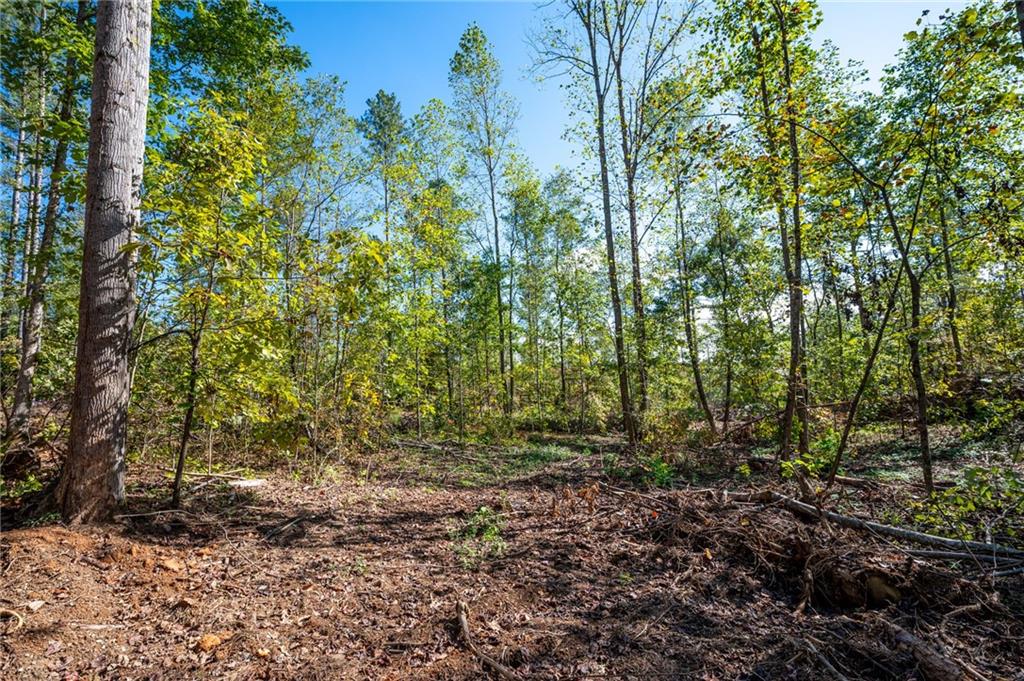3793 Hwy 140 Ne Rydal Ga 30171 Northeast Rydal, GA 30171 - Photo 9 of 25 a view of outdoor space and trees