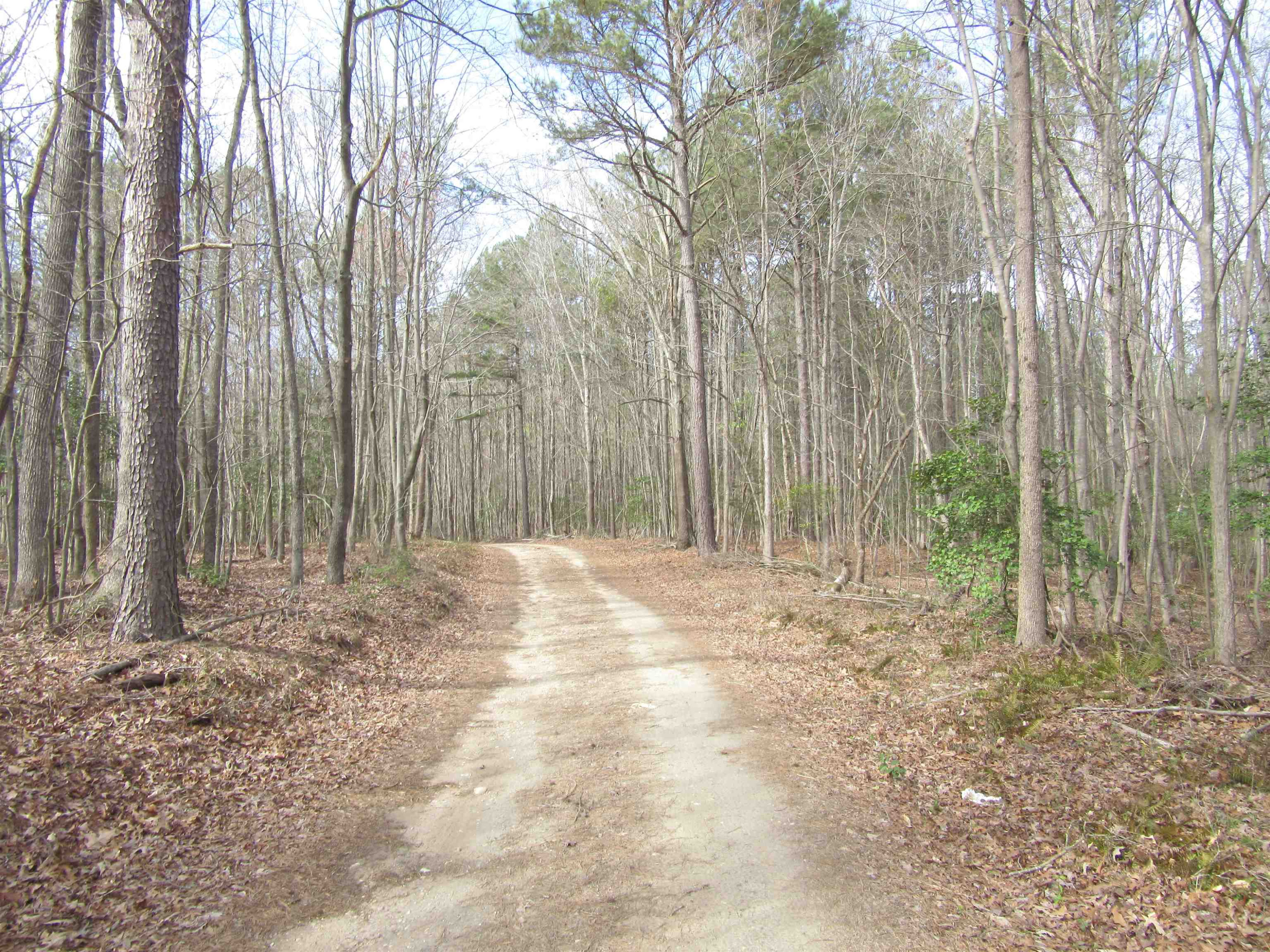 3 A Driver Road Middlesex, NC 27557 - Photo 1 of 6 Photo 1