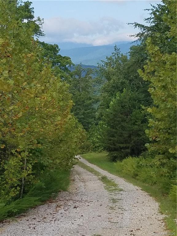 3 Dobsons Knob Loop Road, Unit 312 AND 5357 Marion, NC 28752 - Photo 2 of 19 Gallery Image 2