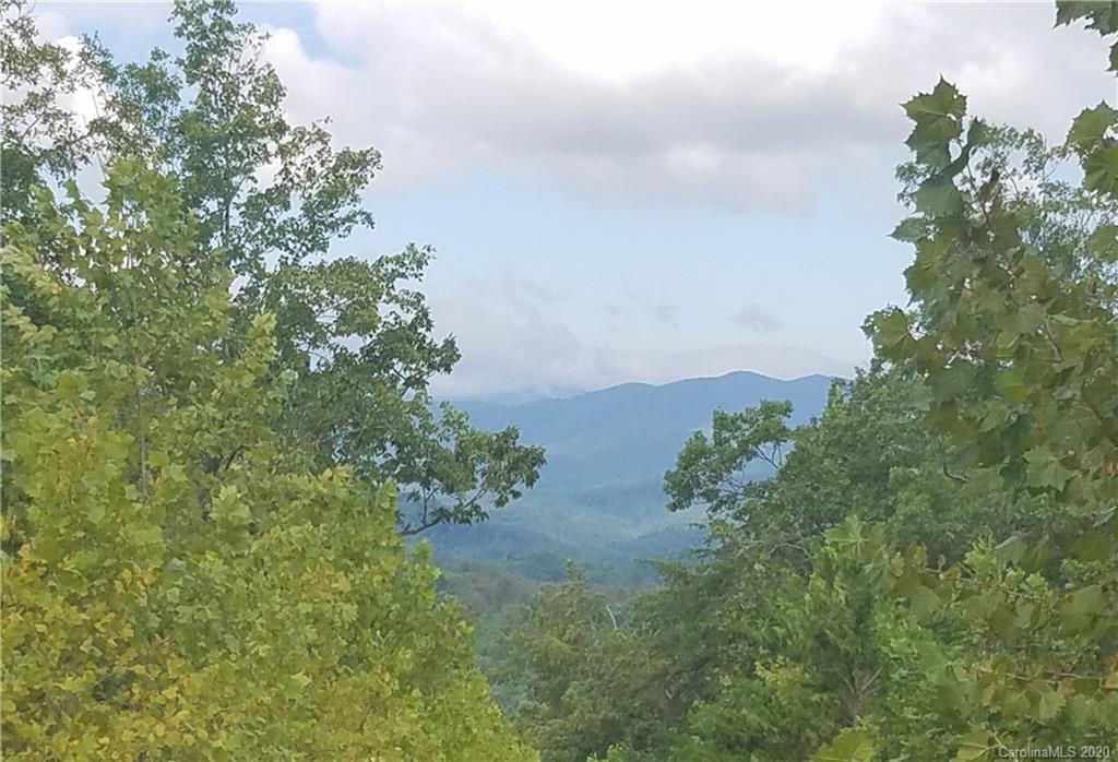 3 Dobsons Knob Loop Road, Unit 312 AND 5357 Marion, NC 28752 - Photo 4 of 19 Gallery Image 4