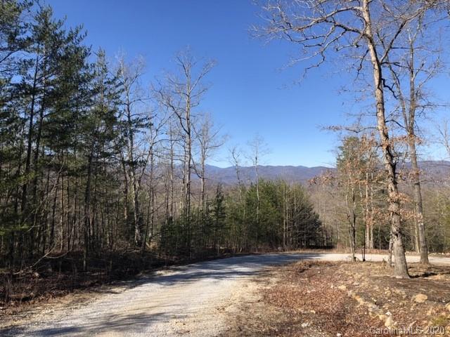 3 Dobsons Knob Loop Road, Unit 312 AND 5357 Marion, NC 28752 - Photo 9 of 19 Gallery Image 9