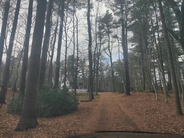 a view of outdoor space and green space