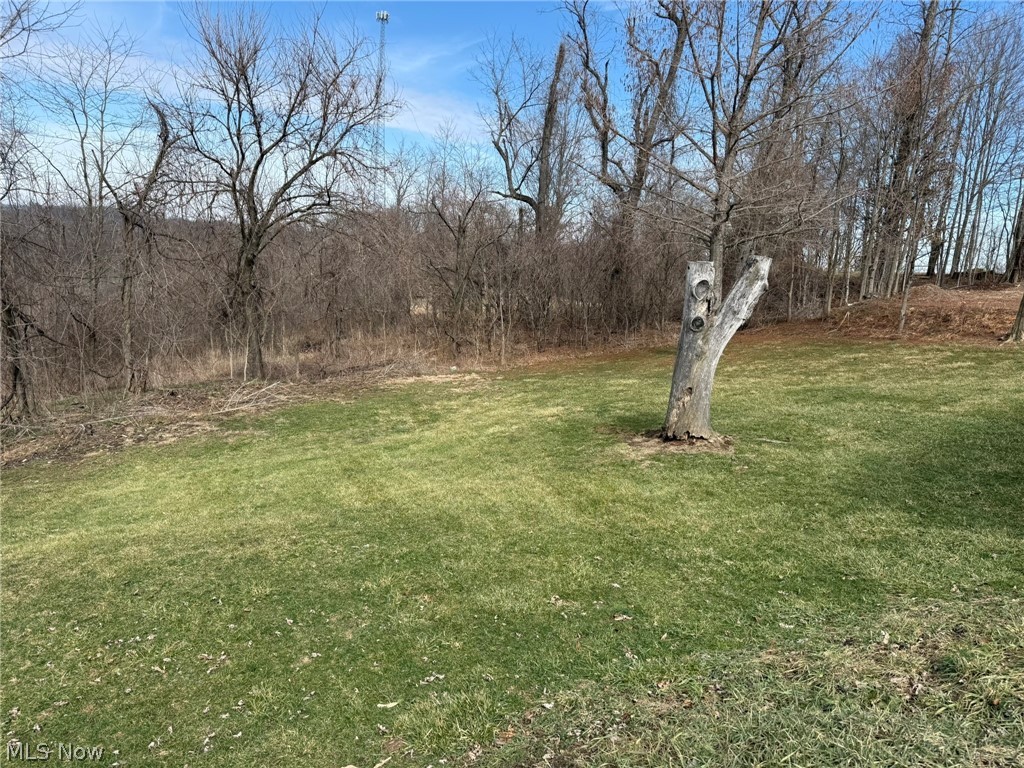 23033 Cadiz Road Freeport, OH 43973 - Photo 30 of 31 View of grassy yard
