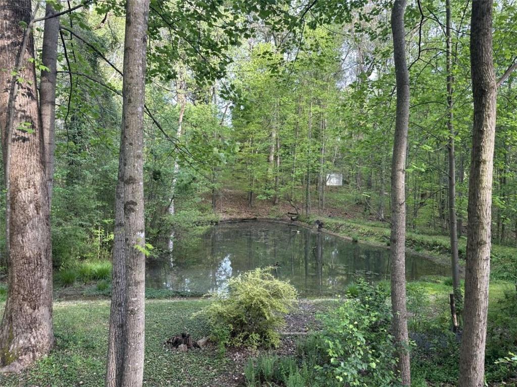 205 Carruth Road Jefferson, GA 30549 - Photo 59 of 69