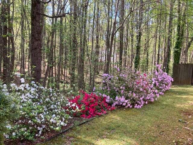 205 Carruth Road Jefferson, GA 30549 - Photo 60 of 69